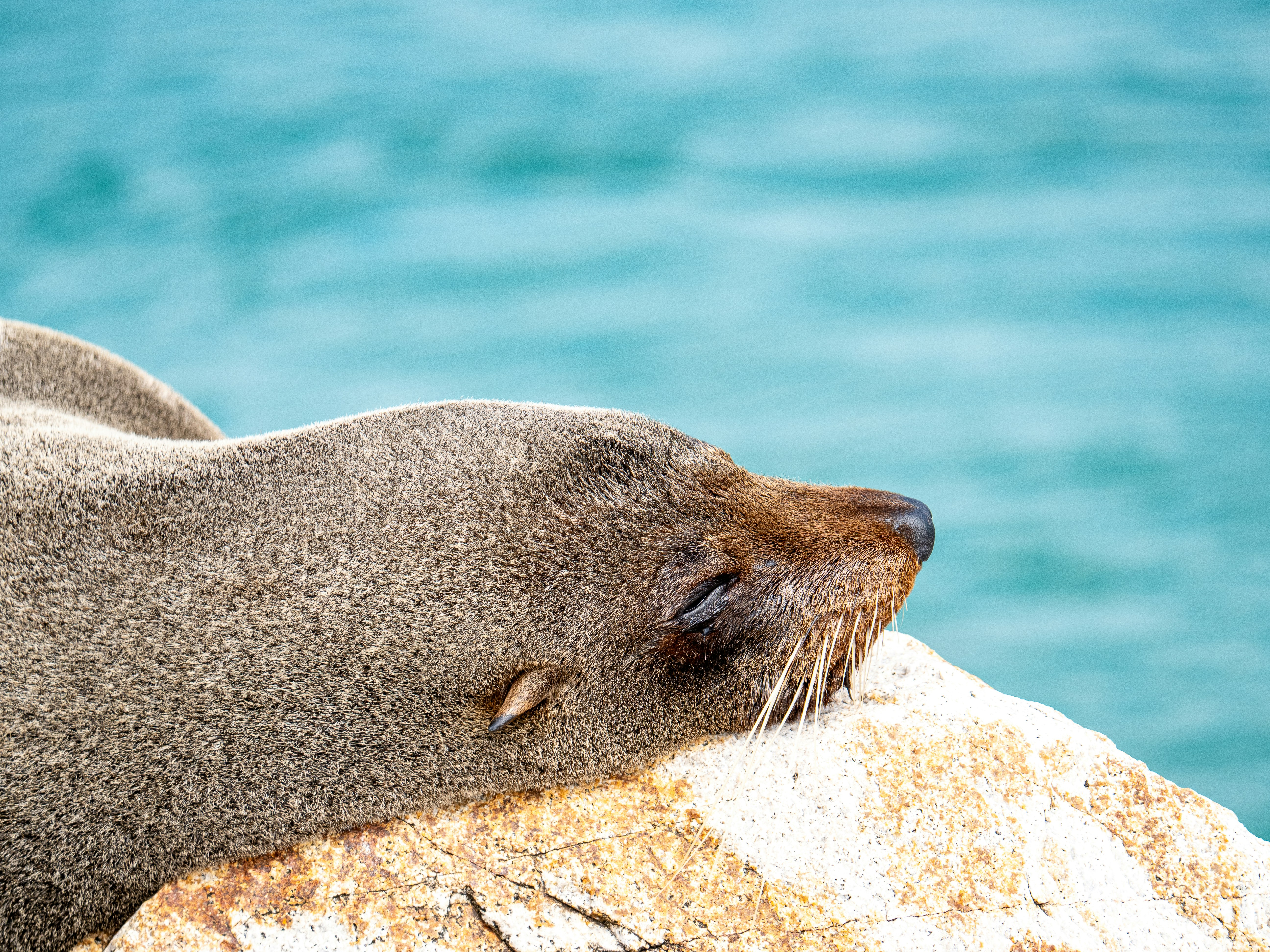 Photographie Steve Ledeme