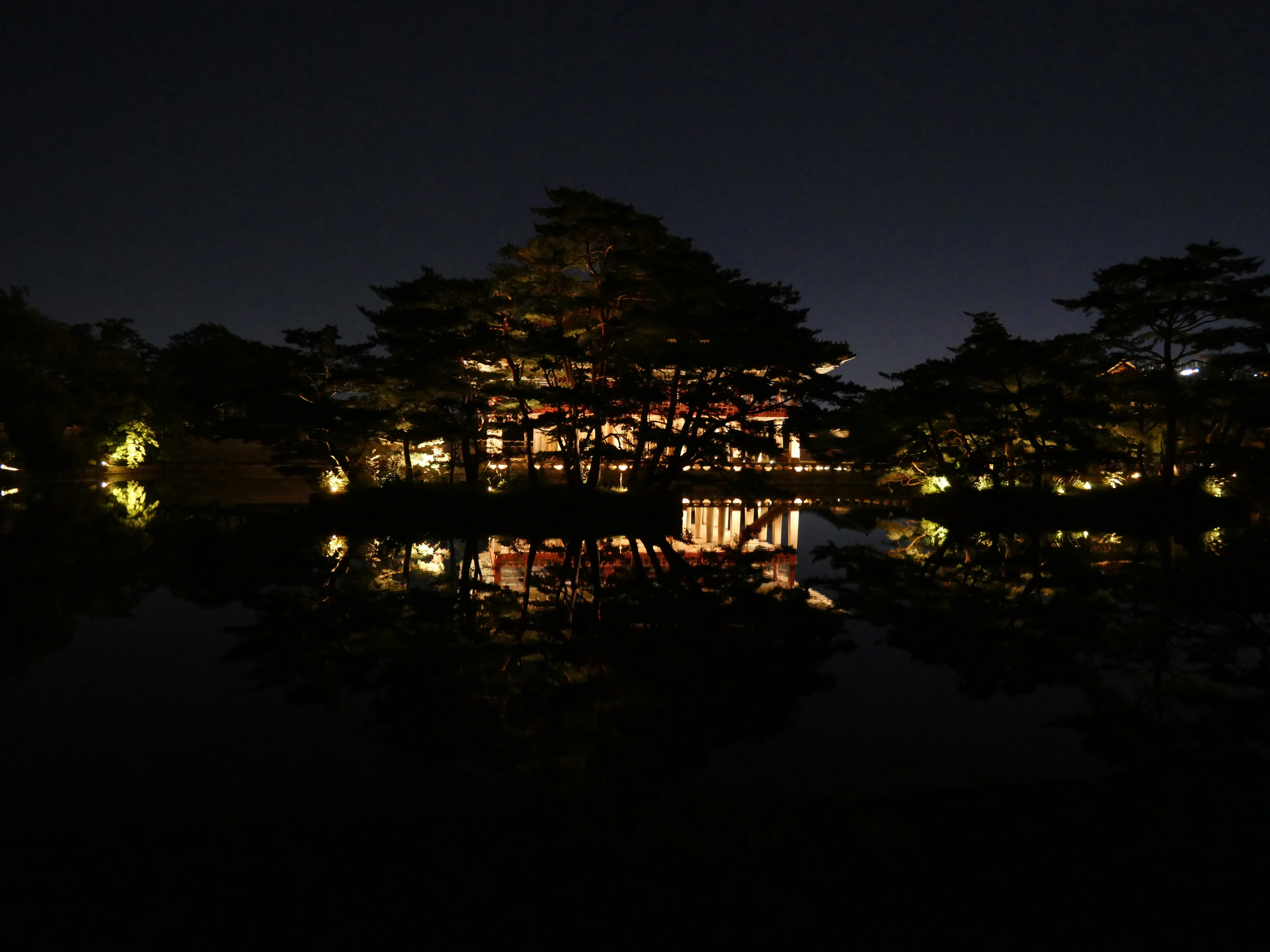 Photographie Steve Ledeme